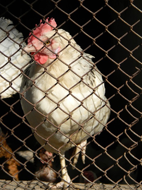 从不乏优秀 从不乏优秀