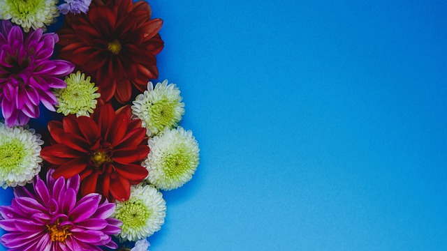 个篮板也表 个篮板也表