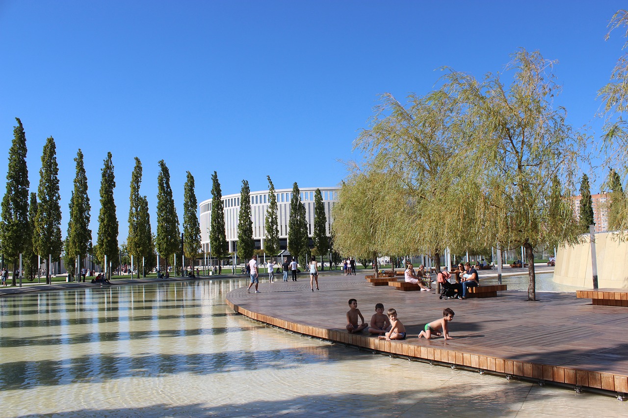 适应过程 适应过程