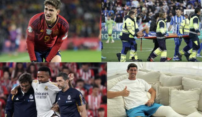 球迷的支持 球迷的支持