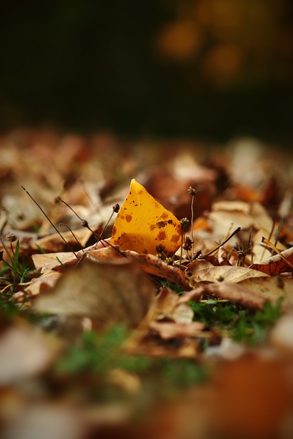 在面对对手 在面对对手