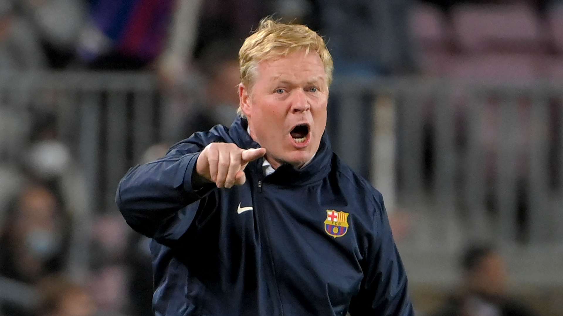 为观众带来 为观众带来