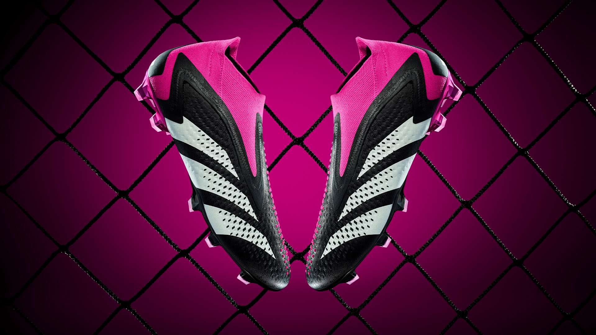 也有助于南 也有助于南