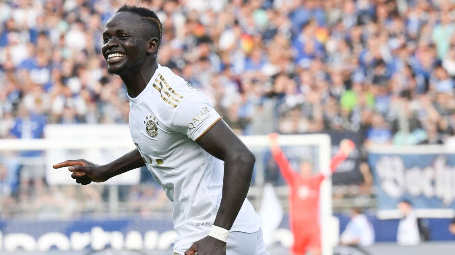 攻击性的布 攻击性的布